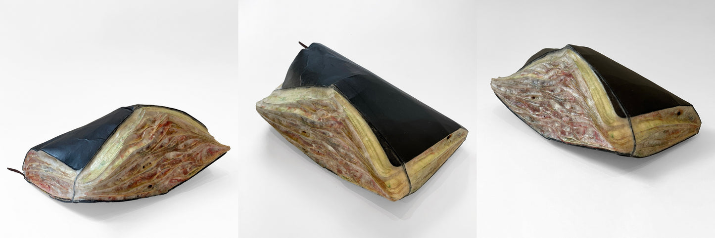 4154b Diary 01 日記 01