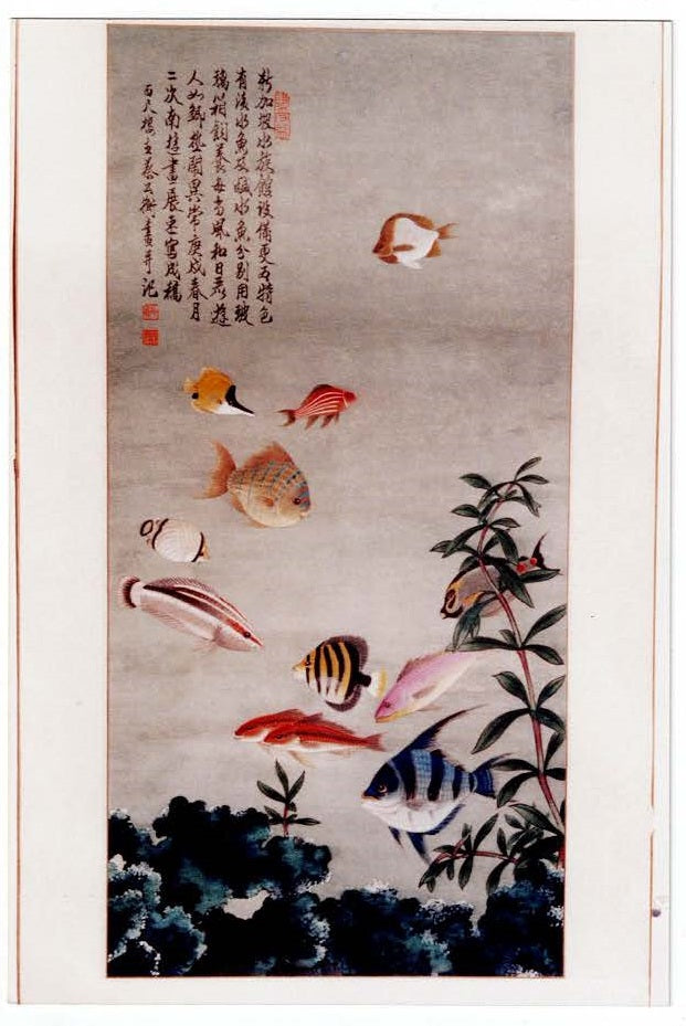 2003b Singapore Aquarium 新加坡水族館