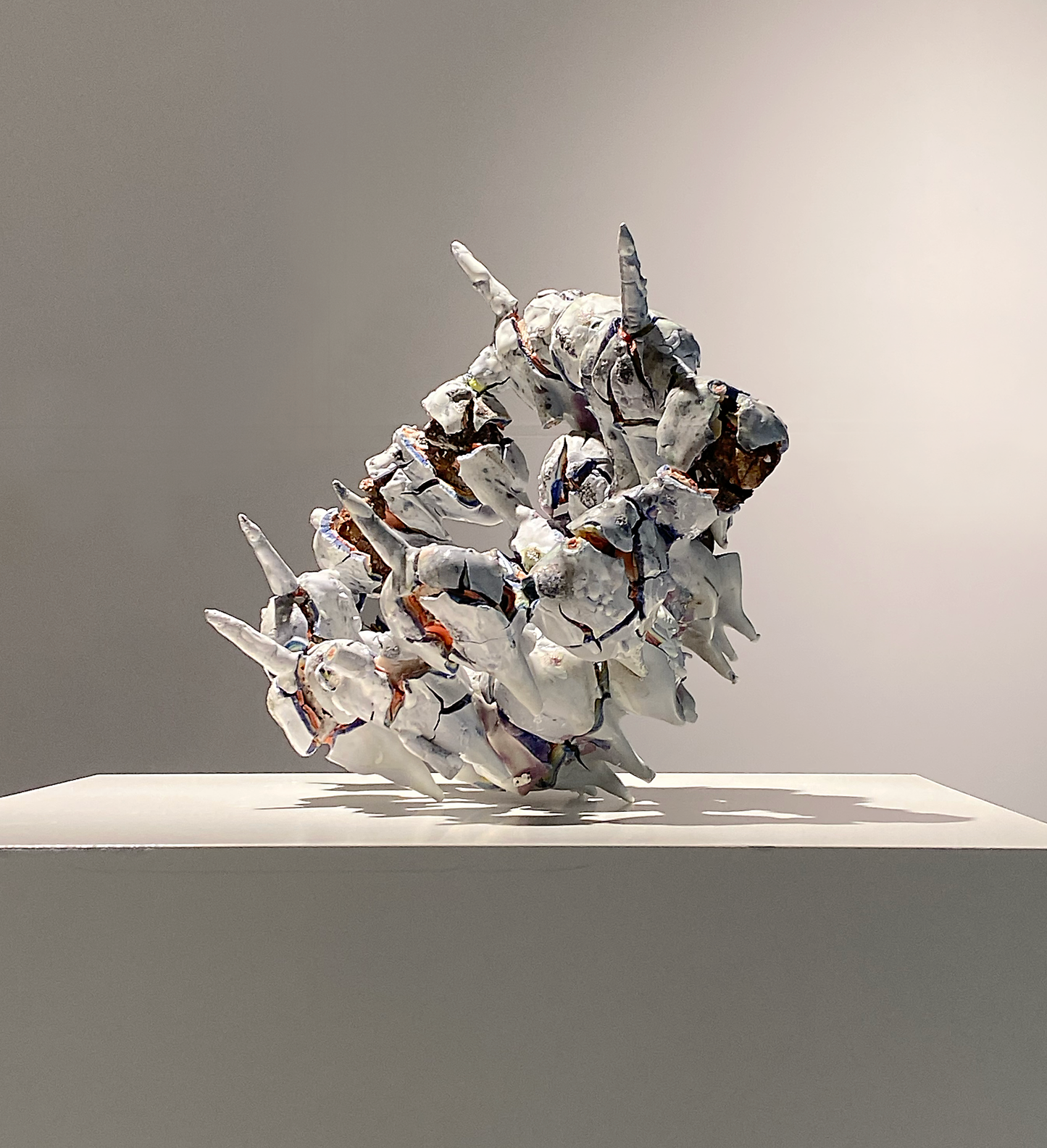 2023b Morning Rainbow  (Ap Lei Chau Oct. 2025)