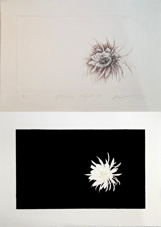 2033a Glimpse: Object 1A ; Glimpse: Object1B 瞥：物1A ;  瞥：物1B