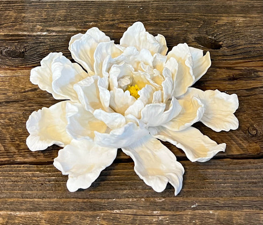 2069a 《Essence》《素》